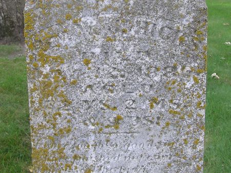 HICKS, REV. W. J. - Delaware County, Iowa | REV. W. J. HICKS 