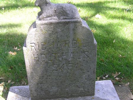 HOLTHAUS, RICHARD L. - Delaware County, Iowa | RICHARD L. HOLTHAUS 