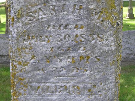 HOWLAND, SARAH M. - Delaware County, Iowa | SARAH M. HOWLAND 