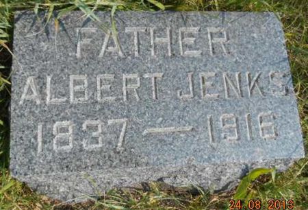 JENKS, ALBERT - Delaware County, Iowa | ALBERT JENKS 