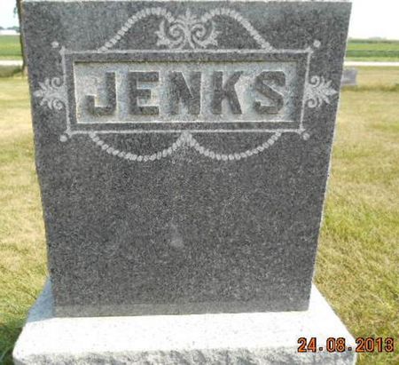 JENKS, FAMILY STONE - Delaware County, Iowa | FAMILY STONE JENKS 