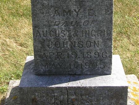 JOHNSON, AMY - Delaware County, Iowa | AMY JOHNSON 