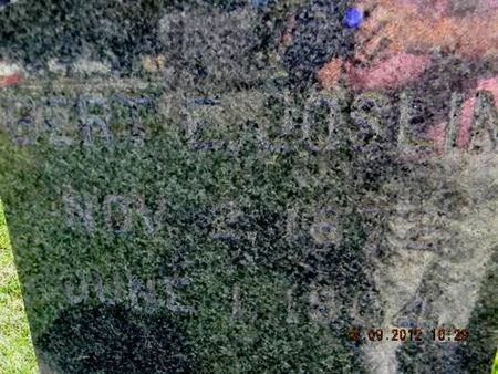 JOSLIN, BERT E. - Delaware County, Iowa | BERT E. JOSLIN 