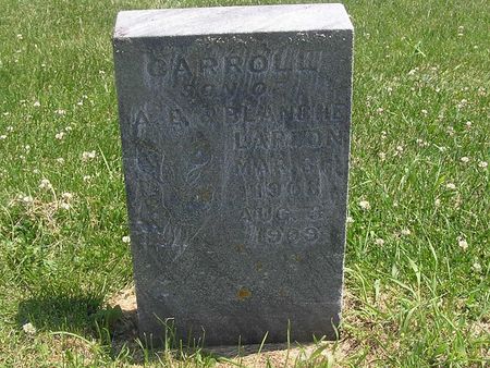 LARSON, CARROLL - Delaware County, Iowa | CARROLL LARSON 