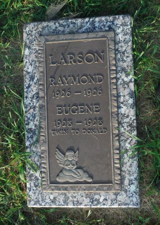 LARSON, RAYMOND - Delaware County, Iowa | RAYMOND LARSON 