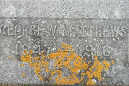 MATTHEWS, GEORGE W. - Delaware County, Iowa | GEORGE W. MATTHEWS 