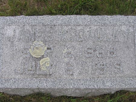MCCAULEY, JAMES - Delaware County, Iowa | JAMES MCCAULEY 