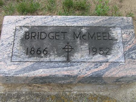 MCMEEL, BRIDGET - Delaware County, Iowa | BRIDGET MCMEEL 