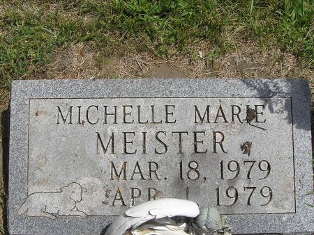 MEISTER, MICHELLE MARIE - Delaware County, Iowa | MICHELLE MARIE MEISTER 