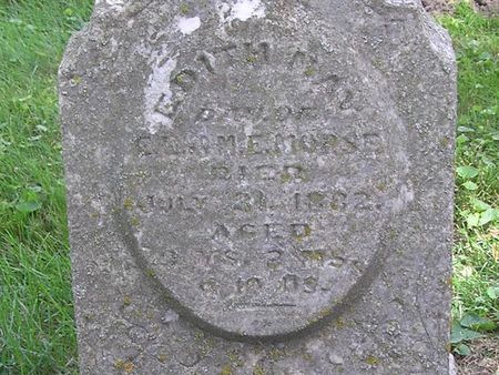 MORSE, EDITH MAY - Delaware County, Iowa | EDITH MAY MORSE 