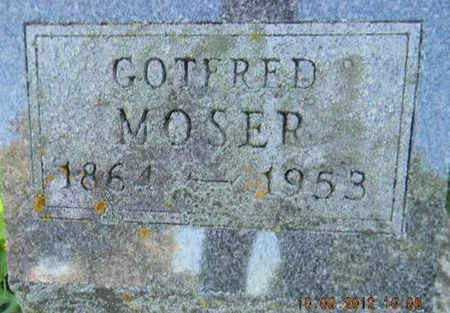 MOSER, GOTFRED - Delaware County, Iowa | GOTFRED MOSER 