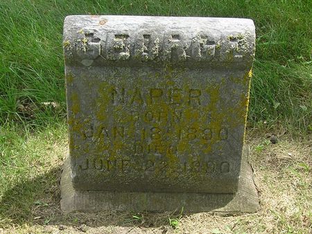NAPER, GEORGE - Delaware County, Iowa | GEORGE NAPER 