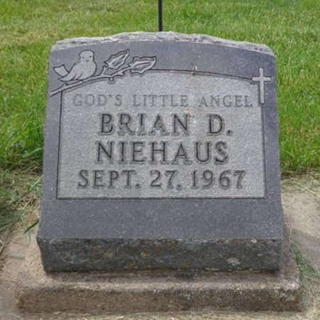 NIEHAUS, BRIAN D. - Delaware County, Iowa | BRIAN D. NIEHAUS 