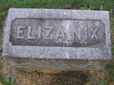 NIX, ELIZA - Delaware County, Iowa | ELIZA NIX 