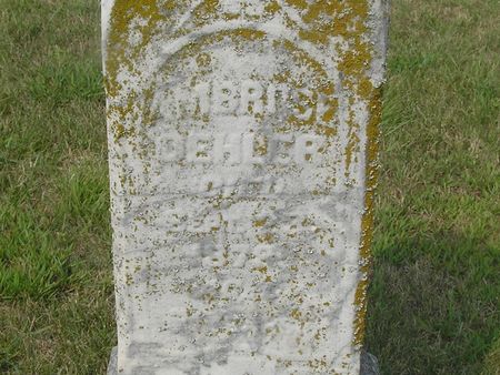 OEHLER, AMBROSE - Delaware County, Iowa | AMBROSE OEHLER 