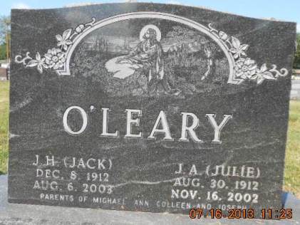 CARLSON O'LEARY, JULIA ANN - Delaware County, Iowa | JULIA ANN CARLSON O'LEARY 