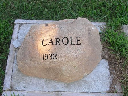PARROTT, CAROLE - Delaware County, Iowa | CAROLE PARROTT 
