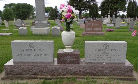 PINS, ESTHER E. - Delaware County, Iowa | ESTHER E. PINS 
