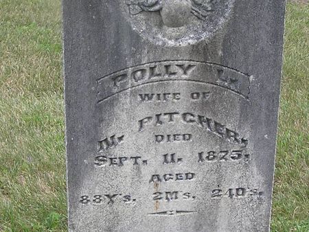 PITCHER, POLLY L. - Delaware County, Iowa | POLLY L. PITCHER 