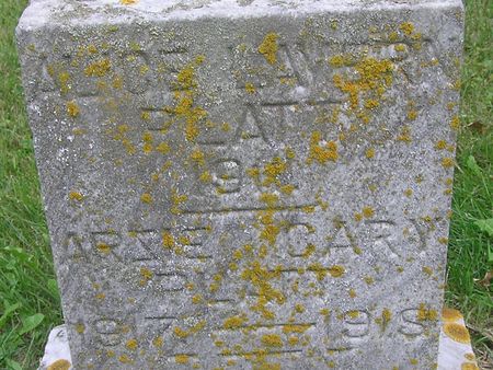 PLATT, ALICE - Delaware County, Iowa | ALICE PLATT 