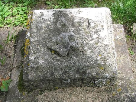 PLATT, BABY - Delaware County, Iowa | BABY PLATT 