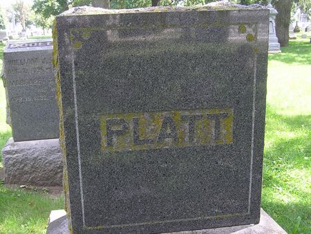 PLATT, HARLAN, ROXANA, SEYMOOR, HARRRIETTE - Delaware County, Iowa | HARLAN, ROXANA, SEYMOOR, HARRRIETTE PLATT 