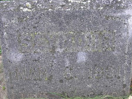 PLATT, SEYMOOR - Delaware County, Iowa | SEYMOOR PLATT 