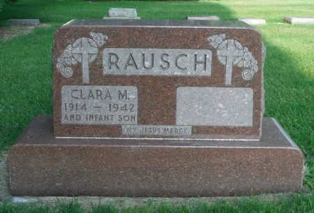 RAUSCH, INFANT SON - Delaware County, Iowa | INFANT SON RAUSCH 
