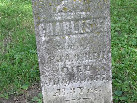 REEVES, CHARLES E. - Delaware County, Iowa | CHARLES E. REEVES 
