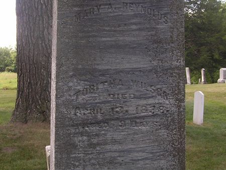 WILSON, TOBITHA - Delaware County, Iowa | TOBITHA WILSON 