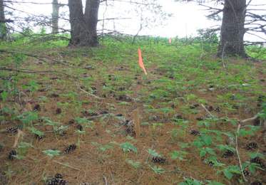 ROBERTS, JOHN HENRY - Delaware County, Iowa | JOHN HENRY ROBERTS 