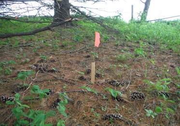 ROBERTS, THOMAS A. - Delaware County, Iowa | THOMAS A. ROBERTS 