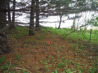 ROBERTS, FAMILY BURIALS - Delaware County, Iowa | FAMILY BURIALS ROBERTS 