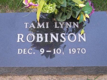 ROBINSON, TAMI LYNN - Delaware County, Iowa | TAMI LYNN ROBINSON 