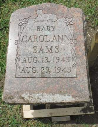 SAMS, CAROLANN - Delaware County, Iowa | CAROLANN SAMS 