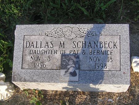 SCHANBECK, DALLAS - Delaware County, Iowa | DALLAS SCHANBECK 