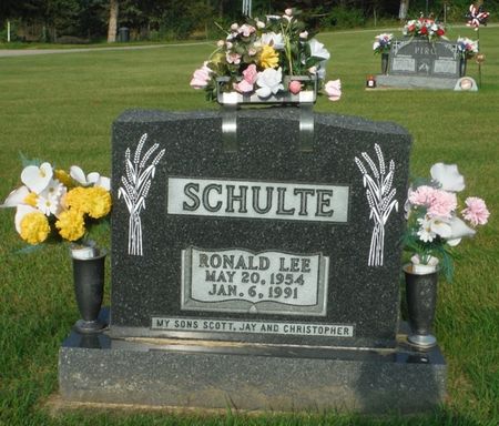 SCHULTE, RONALD LEE - Delaware County, Iowa | RONALD LEE SCHULTE 