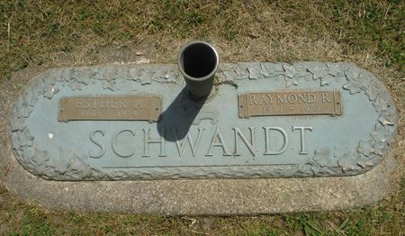 SCHWANDT, RAYMOND R. - Delaware County, Iowa | RAYMOND R. SCHWANDT 