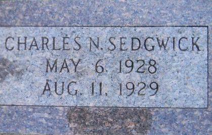 SEDGWICK, CHARLES N. - Delaware County, Iowa | CHARLES N. SEDGWICK 