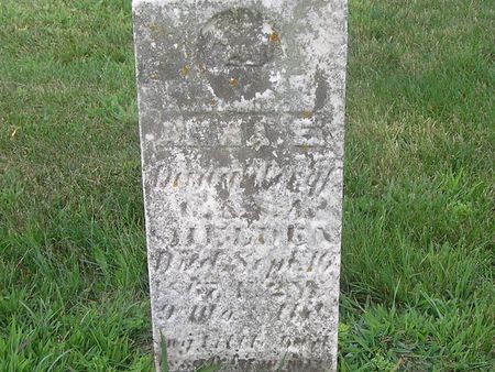 SHELDEN, ANNA E. - Delaware County, Iowa | ANNA E. SHELDEN 