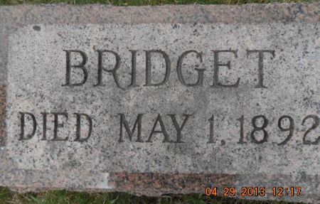 SLATTERY, BRIDGET - Delaware County, Iowa | BRIDGET SLATTERY 