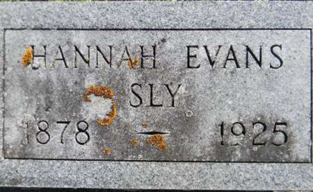 EVANS SLY, HANNAH - Delaware County, Iowa | HANNAH EVANS SLY 