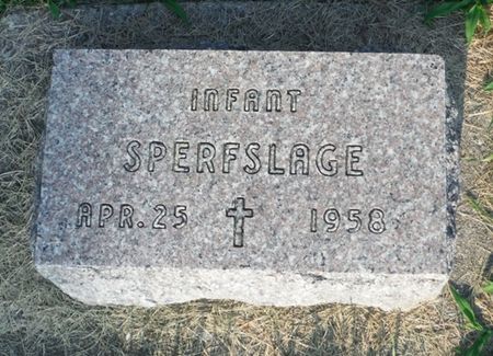 SPERSFLAGE, INFANT - Delaware County, Iowa | INFANT SPERSFLAGE 