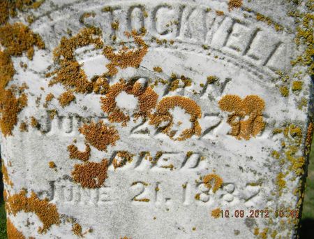 STOCKWELL, WILLIAM - Delaware County, Iowa | WILLIAM STOCKWELL 