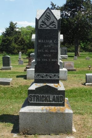 STRICKLAND, WILLIAM C. - Delaware County, Iowa | WILLIAM C. STRICKLAND 