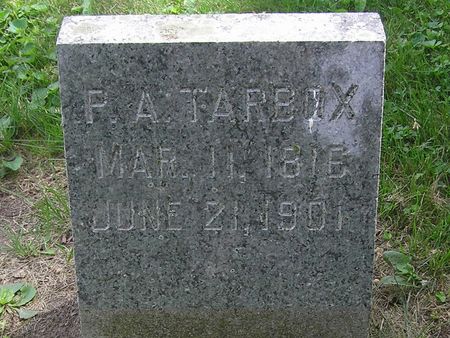 TARBOX, P. A. - Delaware County, Iowa | P. A. TARBOX 