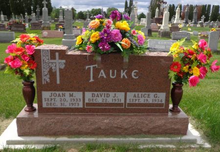 TAUKE, JOAN M. - Delaware County, Iowa | JOAN M. TAUKE 