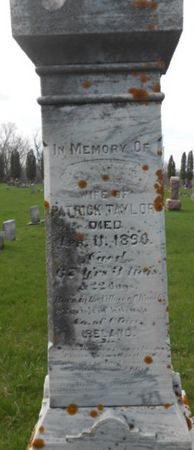 TAYLOR, ANN - Delaware County, Iowa | ANN TAYLOR 