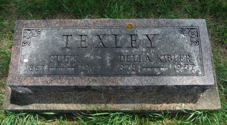 TEXLEY, DELIA - Delaware County, Iowa | DELIA TEXLEY 