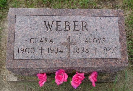 WEBER, CLARA - Delaware County, Iowa | CLARA WEBER 